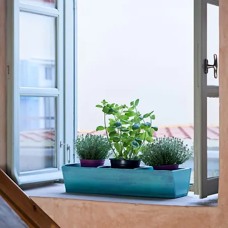 Lila Hotel Ermoupoli